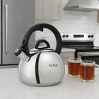 Czajnik tradycyjny stalowy tefal N4180310 z gwizdkiem na Gaz Indukcja imbryk do gotowania wody 2,5 l srebrny