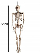 DEKORACJA WISZĄCA SZKIELETOR DUŻY SZKIELET KOSTEK OZDOBA HALLOWEEN 165 CM plastikowy kościotrup, rekwizyt na imprezę