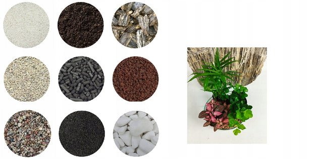 Zestaw startowy las w szkle Fittonia,Palma,Bluszcz prezent terrarium roślinne, mini ogród dekoracyjny do samodzielnego wykonania