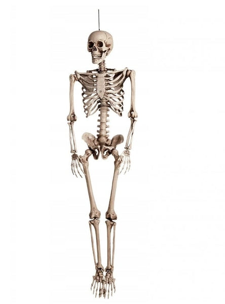 DEKORACJA WISZĄCA SZKIELETOR DUŻY SZKIELET KOSTEK OZDOBA HALLOWEEN 165 CM plastikowy kościotrup, rekwizyt na imprezę