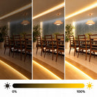 Taśma LED neon COB Linia 12V 2700K 50W 5m Rolka Pasek Ciepła Nie Mruga listwa świetlna do podświetlania wnętrz IP20
