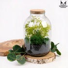 Słoik do lasu w szkle słój do dekoracji szklany duży z korkiem 3l 3000 ml terrarium roślinne, naczynie florystyczne na