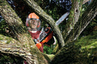 Black decker Piła łańcuchowa akumulatorowa 18V GKC1825 Pilarka 25cm body do cięcia drewna i gałęzi, bezprzewodowa