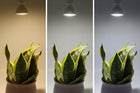 10x Zestaw Żarówka LED GU10 5W 500lm 4000K neutral 120° wydajna premium reflektorowa do lamp i opraw punktowych