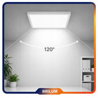 Panel LED Sufitowy 40W Natynkowy 60 x 60cm Plafon 3600lm Orega Oprawa IP40 lampa kwadratowa do biura, neutralna barwa