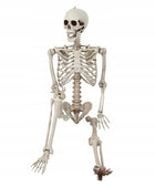 DEKORACJA WISZĄCA SZKIELETOR DUŻY SZKIELET KOSTEK OZDOBA HALLOWEEN 165 CM plastikowy kościotrup, rekwizyt na imprezę