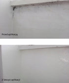 Farba przeciwgrzybicza galvi 1l akrylowa ścienna, biała matowa, na pleśń i grzyby, wydajność 10 m²/l