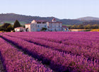 LAVENDER: DOPŁATA do wymiany pokrowca 160x200 lawendowe poszycie, zmiana obicia