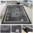 Nowoczesny Dywan BCF Shiraz 200x300 2x3 Szare Brązowy Bordo do Pokoju polipropylenowy prostokątny wzór kwiatowy salon