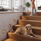 Oprawa schodowa oświetlenie schodowe LED 230V Q6 ZŁOTA / MOSIĄDZ PREMIUM lampka do stopni, kwadratowa, 2 W, wymienne