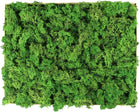 Skrawki mech chrobotek Forest Green Karton 1kg porost reniferowy do dekoracji i kompozycji florystycznych