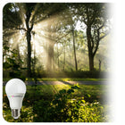 Zestaw 10x Żarówka LED E27 A65 15W=100W 1521lm 240° Premium Ciepła 3000K kulista lampa do opraw, oświetlenie wnętrz