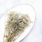 Gipsówka Stabilizowana - duże kwiaty - Royal Bouquet - Naturalna - 100g łyszczec do dekoracji i kompozycji