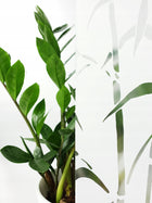 Okleina Samoprzylepna Na Szyby Folia Okienna Mleczna Matowa Ochronna 45x200 prywatność, dekoracja okna, do łazienki