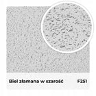 Farba Strukturalna Elewacyjna Silikonowa Fasadowa 10l Biel w Szarość F251 do ścian zewnętrznych, matowa, wydajność 6
