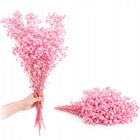 Gipsówka stabilizowana gypsophila suszona bukiet dekoracyjny 75 cm do aranżacji florystycznych i dekoracji wnętrz