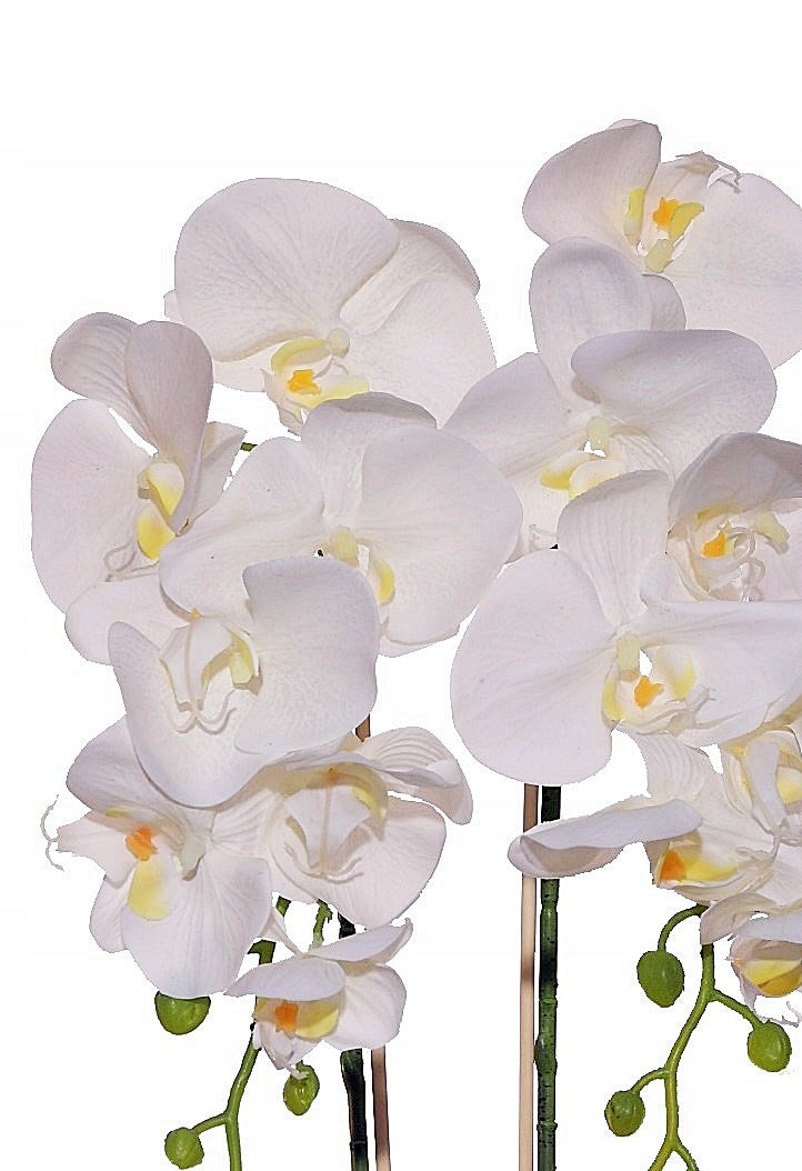 Storczyk Sztuczny Orchidea w Doniczce Jak Żywy Premium Gumowy Pędy Mech kwiaty doniczkowe /Wzór
