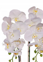 Storczyk Sztuczny Orchidea w Doniczce Jak Żywy Premium Gumowy Pędy Mech kwiaty doniczkowe /Wzór
