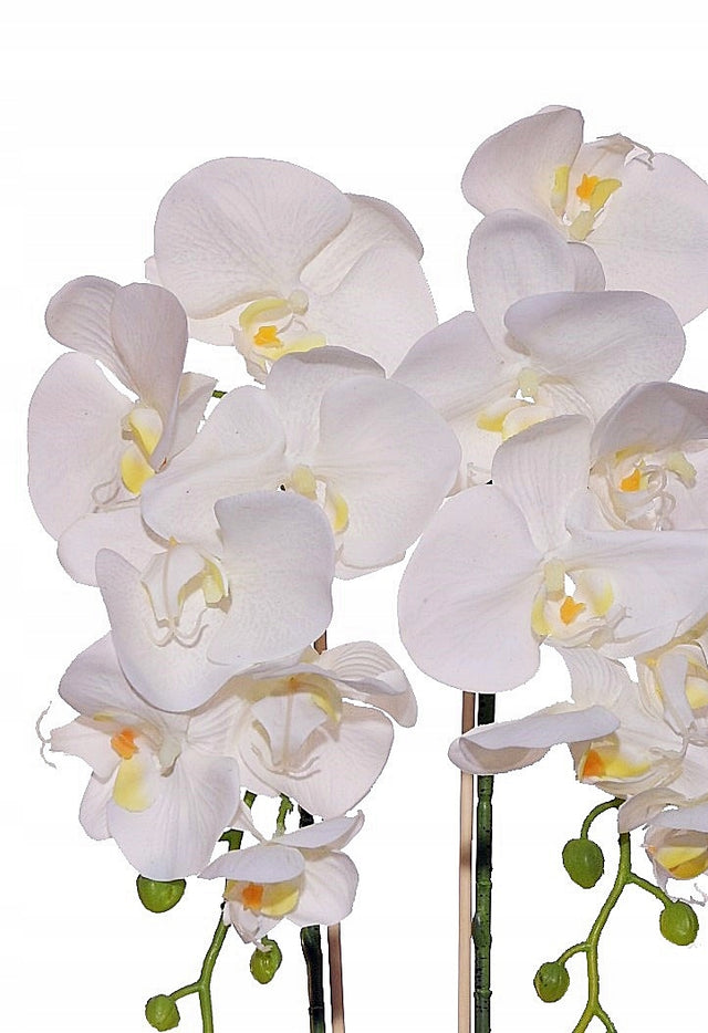 Storczyk Sztuczny Orchidea w Doniczce Jak Żywy Premium Gumowy Pędy Mech kwiaty doniczkowe /Wzór