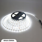 Taśma LED 3528 300 12V biała 10m IP20 z zasilaczem zestaw ledy zimna ciepła pasek świetlny, listwa dekoracyjna do wnętrz