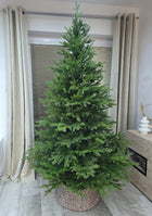 Choinka Pe Jak Prawdziwa 100% PE 220cm świerk 201 - 220 cm zielony