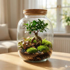 Słoik z pokrywą korkową 33cm idealny do stworzenia LAS w słoiku mikroklimat szklane naczynie florystyczne, terrarium