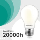 6x żarówka LED E27 filament klasa a 3,8W 840LM = 60W 4000K 360° lumiled tradycyjna bańka, neutralna biel, do lamp i