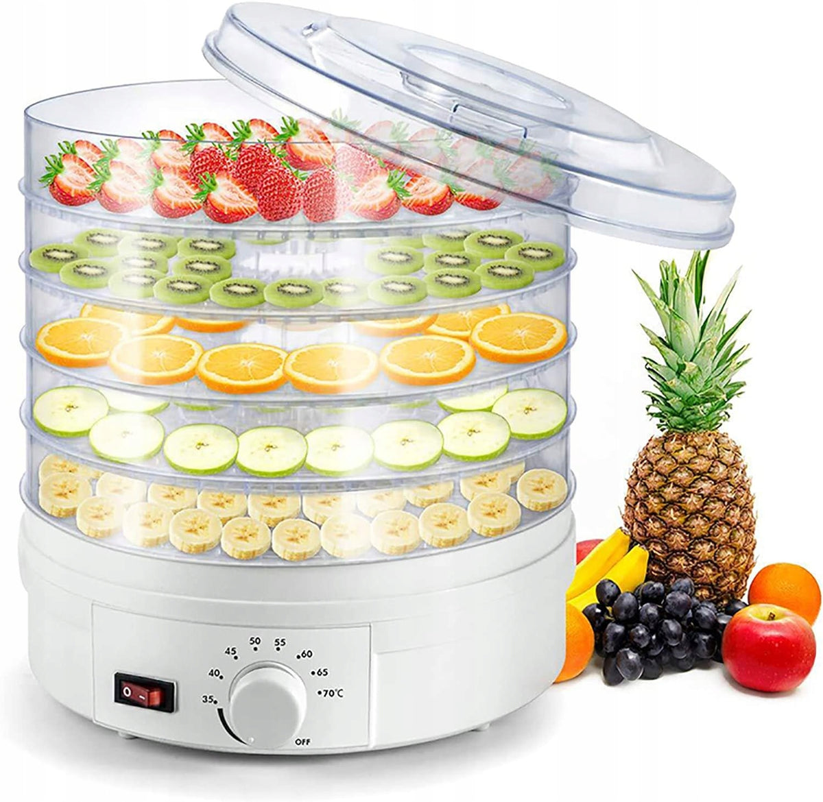 Duża suszarka do ziół grzybów owoców warzyw MOC 600W 5 tacek regulacja temp bezbarwny