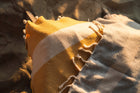 Plażowy Ręcznik Bawełniany typu Fouta Hamam 100x200 Pareo Różowy Duży szybkoschnący do sauny