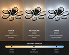 Lampa LED sufitowa plafon żyrandol LED sufitowy + pilot oświetlenie wewnętrzne, 5 punktów światła, czarna, szerokość 43