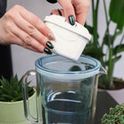 Dzbanek filtrujący szklany etiuda + 2 wkłady pure+ aqualogis 2.9l bezbarwny