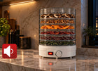 Suszarka do żywności fresh dryer 500 w 5 sit regulacja temperatury grzyby, owoce, warzywa i zioła, dehydrator BPA free