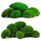 Mech poduszkowy dekoracyjny średni zielony naturalny 130g stabilizowany DIY do stroików, terrarium, kompozycji