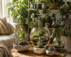 Zestaw XXL Las w Słoiku Szkle premium Podłoże Kamienie Mech Korzeń DIY 15w1 terrarium roślinne, mini ogród, dekoracja