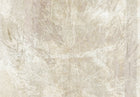 Fototapeta drzewa natura LAS akwarele beton boho 3D tapeta ścienna 400x280 mural flizelinowy, bez pasowania wzoru