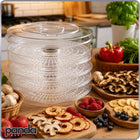 Suszarka do grzybów owoców warzyw ziół spożywcza mocna 600W duża XXL 5 SIT dehydrator BPA free, regulacja temperatury