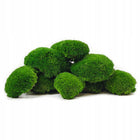 Mech poduszkowy dekoracyjny średni zielony naturalny 130g stabilizowany DIY do stroików, terrarium, kompozycji