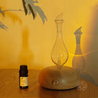 2szt nebulizator do olejków eterycznych Dyfuzor aromaterapia bezwodny aroma dyfuzor elektryczny 25 ml