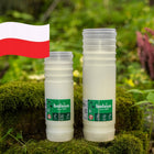 Wkłady do zniczy na grób 22cm Bolsius RP7 z parafiną 148h białe - 15 sztuk świeca nagrobna, do lampionu cmentarnego
