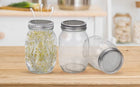 2X kiełkownica słoik do kiełkowania nasion kiełki szklane słoiczki zestaw do domowej uprawy roślin jadalnych, 750 ml