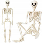 SZKIELET WISZĄCY MODEL KOŚCIOTRUP DEKORACJA SKELETON NA HALLOWEEN 90 CM plastikowa ozdoba, straszak do domu i na imprezę