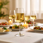 Kieliszki do wina białego 390ml kpl 6szt aurea eleganckie premium lampki degustacyjne, szkło bezbarwne, można myć w