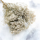 Gipsówka Stabilizowana - duże kwiaty - Royal Bouquet - Naturalna - 100g łyszczec do dekoracji i kompozycji