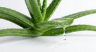 Poduszka Premium Do Spania Aloes AloeVera 70x80 cm Pikowana Antyalergiczna jasiek do łóżka, wypełnienie 950 g