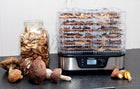 Suszarka do grzybów owoców BPA free dehydrator spożywczy, warzywa, zioła, 6 sit, regulacja temperatury 35–75°C, stal