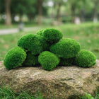 Mech poduszkowy dekoracyjny średni zielony naturalny 130g stabilizowany DIY do stroików, terrarium, kompozycji
