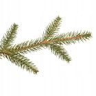 CHOINKA SZTUCZNA ŚWIERK NATURALNY PIĘKNY 220cm gęsta żywa PE PREMIUM STOJAK 201 - 220 cm zielony