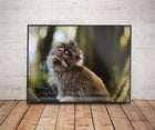 Czarna Ramka na zdjęcia 60x80 cm Aluminiowa Czarne ramki do zdjęć 80x60 cm oprawa do fotografii, dekoracja ścienna