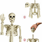 SZKIELET człowieka Duży sztuczny kościotrup 90 cm dekoracja na HALLOWEEN wisząca ozdoba z plastiku, straszydło na
