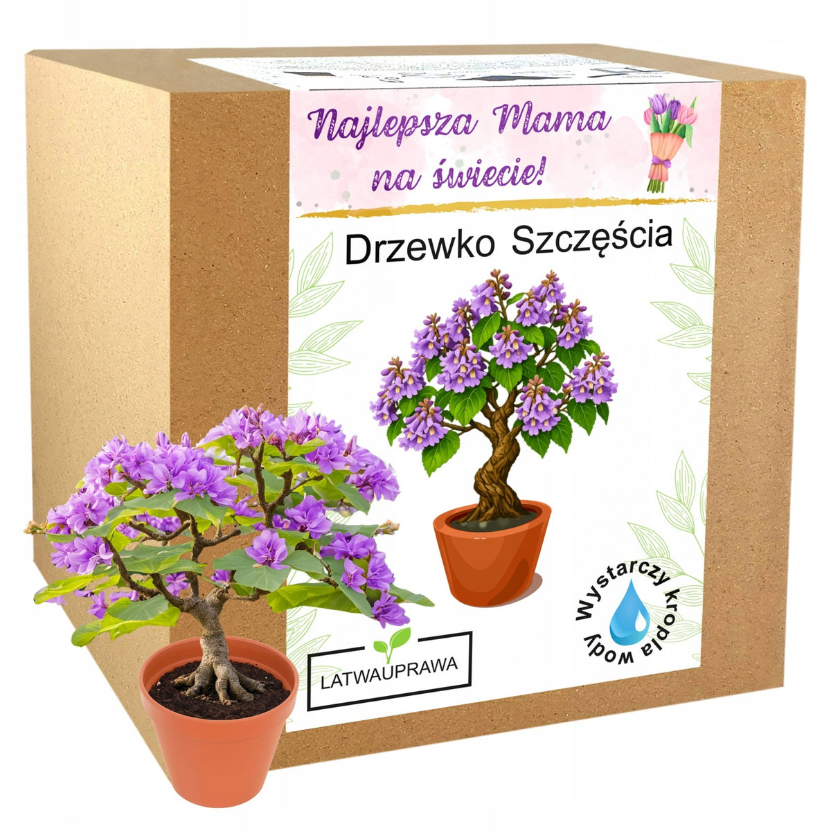 Prezent na Dzień Mamy drzewko szczęścia bonsai prezent dla Mamy na urodziny ozdoba do wnętrza, statuetka z grawerem i